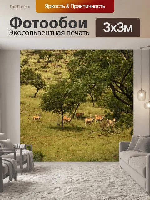 Фотообои группа краев в открытом лесу