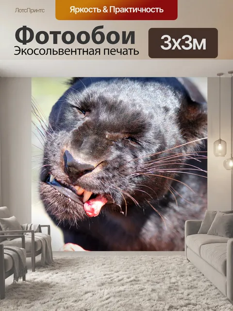 Фотообои Черная пантера питание 1