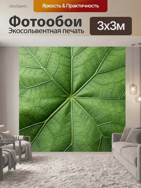 Фотообои Крупный план зеленого листа