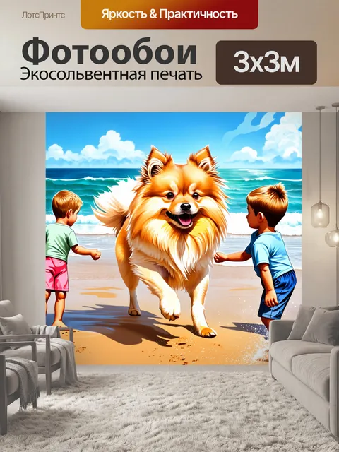 Фотообои чистопородный шпиц, играющий с детьми на пляже, его шерсть вздымается на ветру