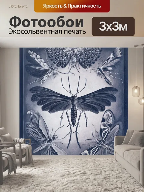Фотообои Иллюстрация винтажной бабочки