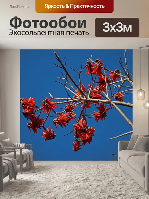 Фотообои красивая красная каштана эритрины