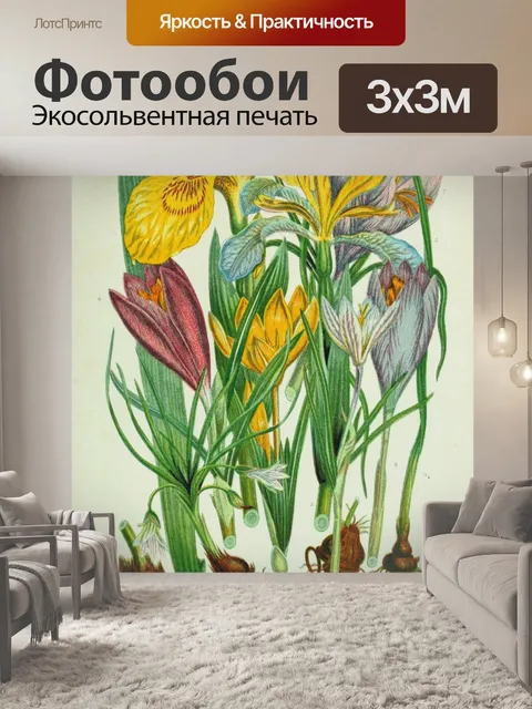 Фотообои Цветы луковицы винтажное искусство