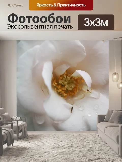 Фотообои Роза