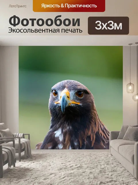Фотообои Золотой орел