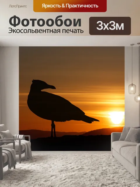 Фотообои Птица Закат Пейзаж Силуэт