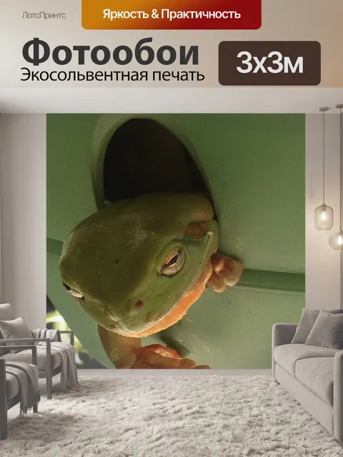 Фотообои Зеленая древесная лягушка