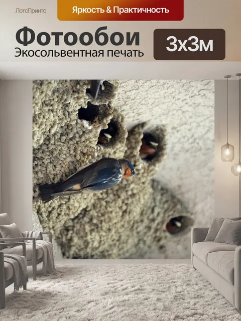 Фотообои Ласточки