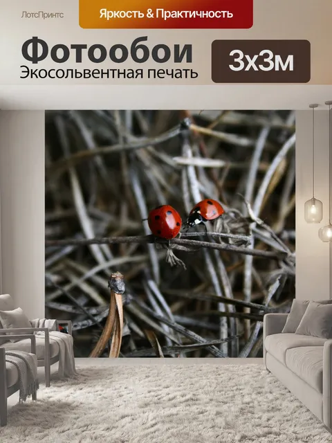 Фотообои Живая природа