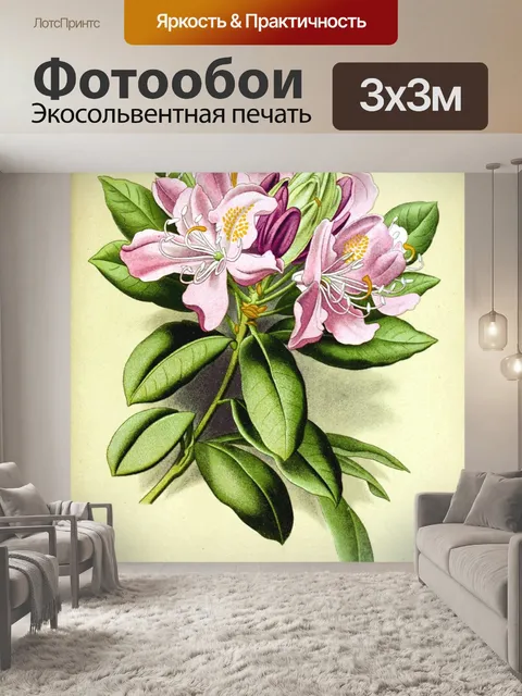 Фотообои Цветок розовый винтажное искусство