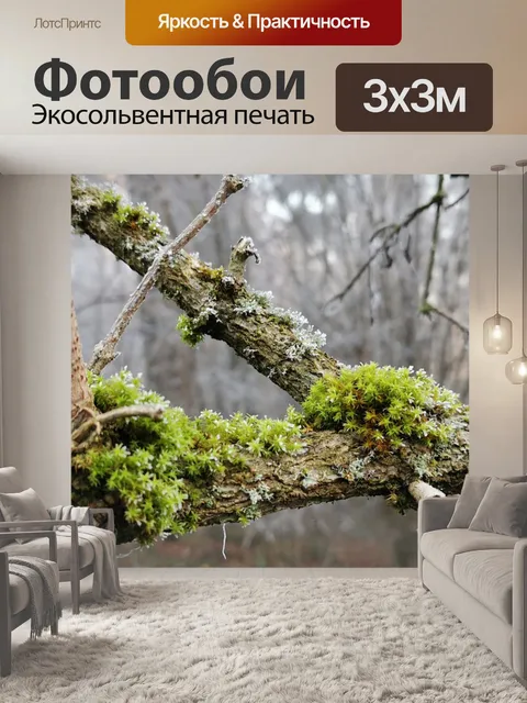 Фотообои Дерево со мхом