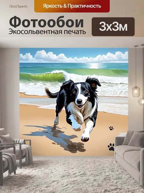 Фотообои вдохновляющий момент с бордер-колли