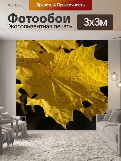 Фотообои Падение