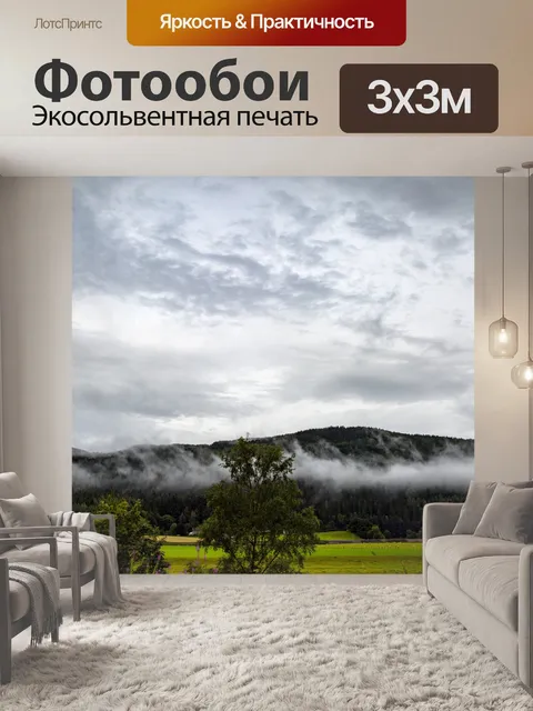 Фотообои Утренний лес