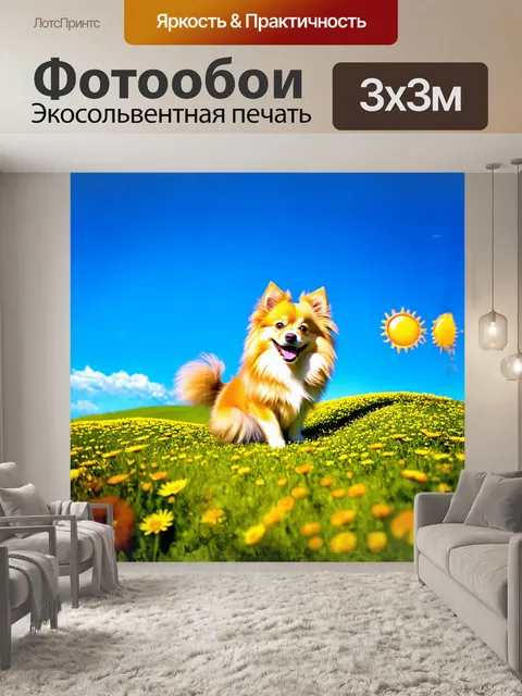 Фотообои на фоне яркого голубого неба