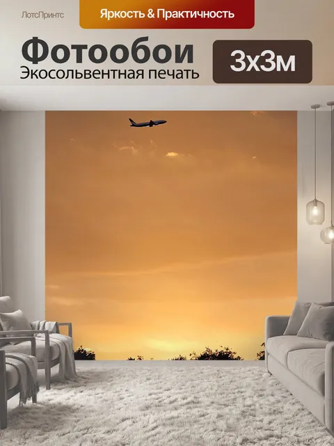 Фотообои Самолет