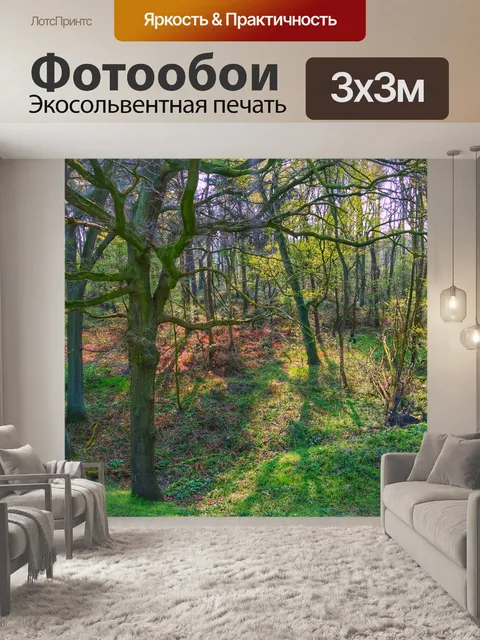 Фотообои Лесные поляны