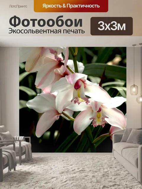 Фотообои Белая орхидея