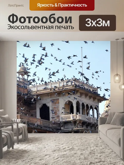Фотообои Полеты голубей