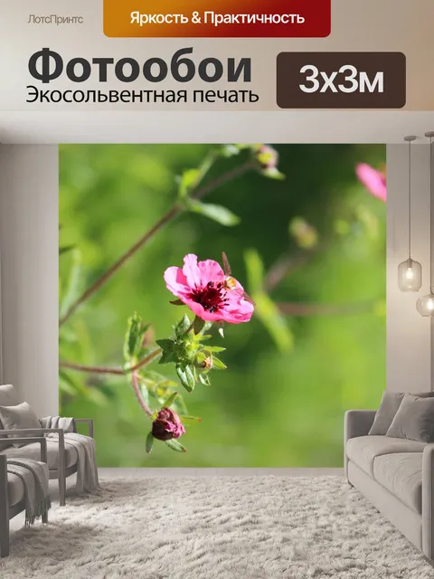 Фотообои Розовый цветок