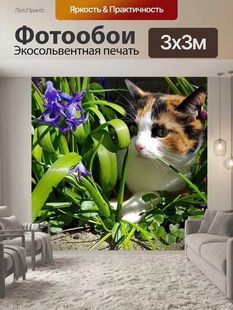 Фотообои Кошки