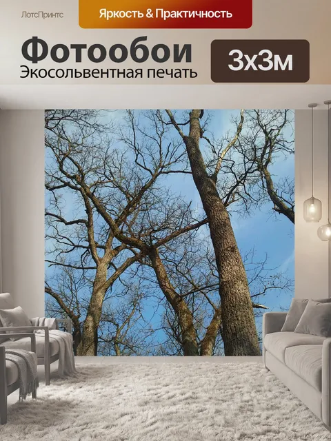 Фотообои Деревья