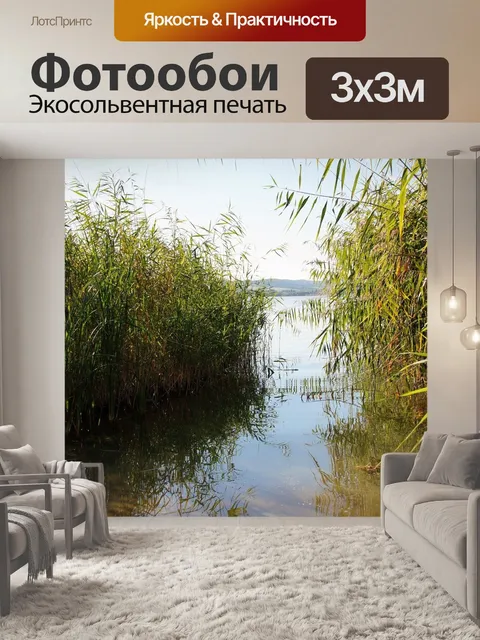 Фотообои Камыши