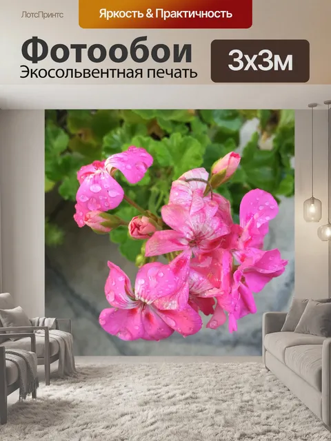 Фотообои Розовый Герань