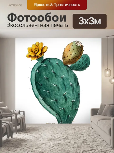Фотообои Колючая груша винтажное искусство