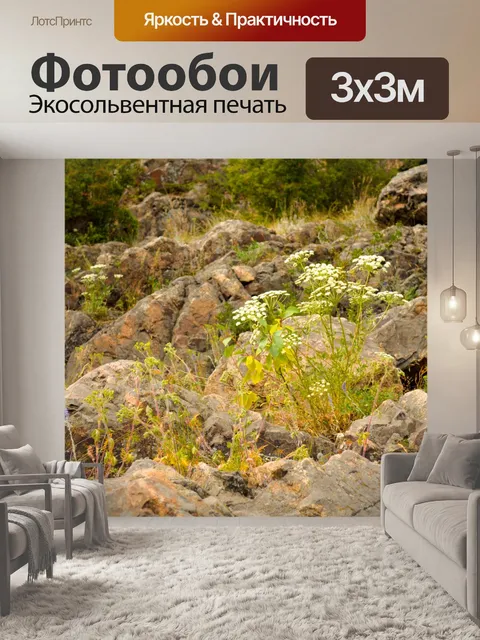 Фотообои Цветы на камнях
