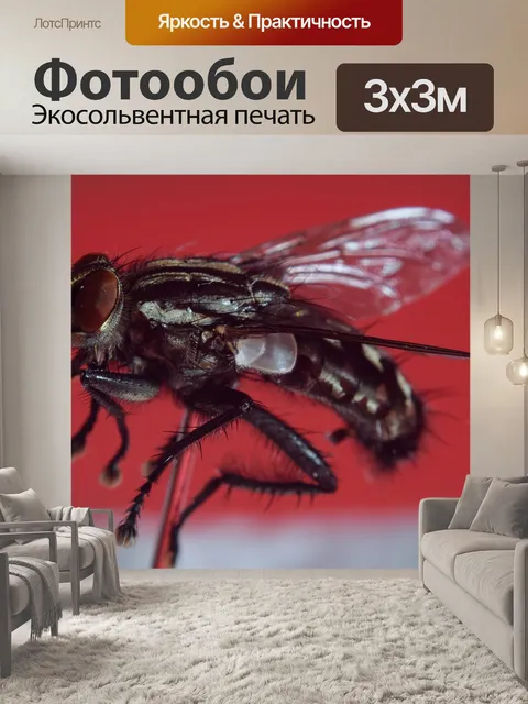 Фотообои Bluebottle