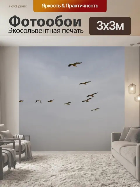 Фотообои Птицы