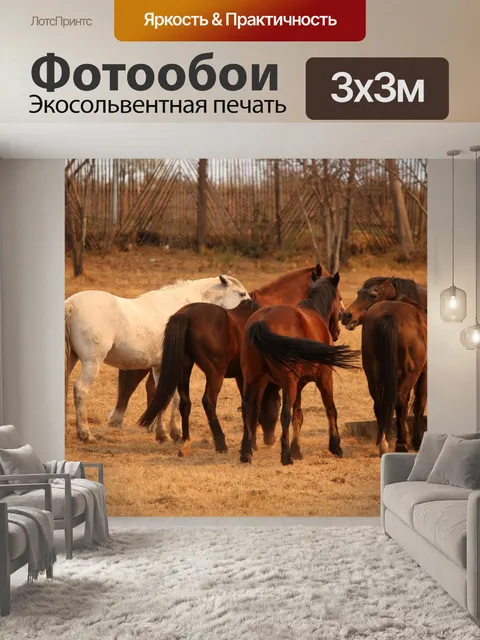 Фотообои лошади взаимодействуют друг с другом