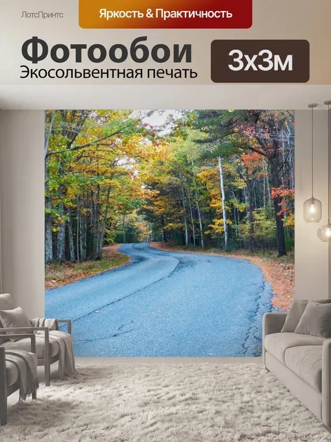 Фотообои проселочная дорога