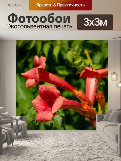 Фотообои Кампсис, лиана, красные цветы, бутоны