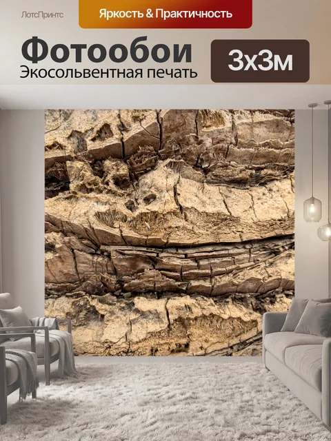 Фотообои Кора пальмы