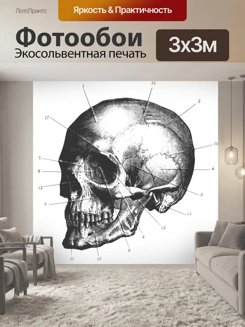 Фотообои Череп