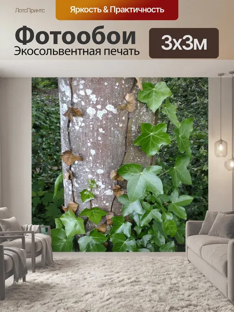Фотообои Ствол дерева с листьями