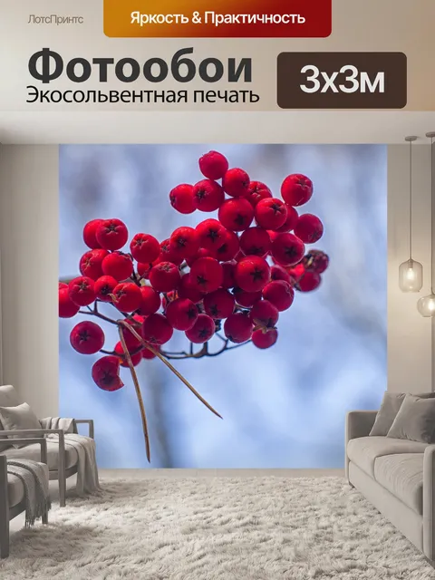 Фотообои Рябина