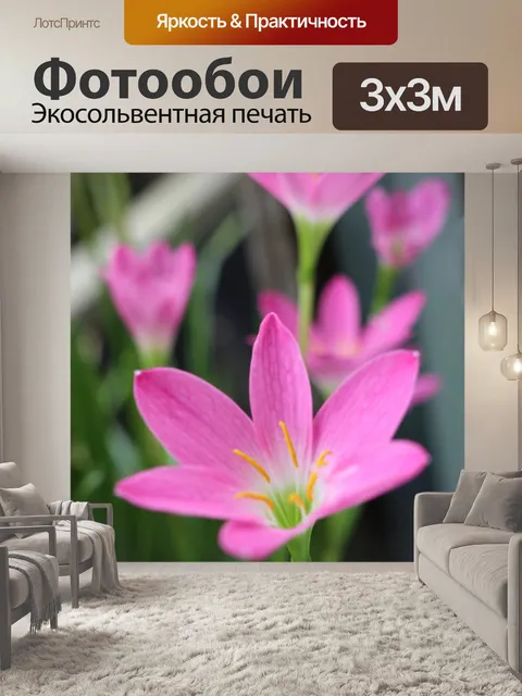 Фотообои Рядом