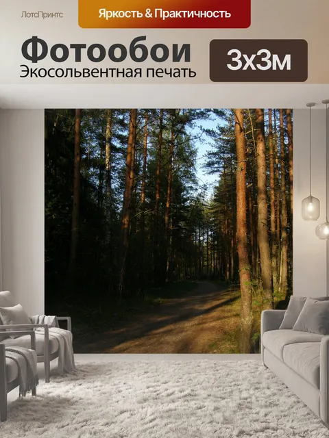 Фотообои Сосна