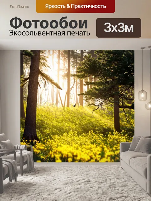 Фотообои сосны в солнечном лесу