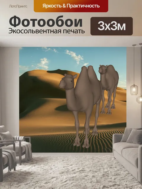 Фотообои два верблюды