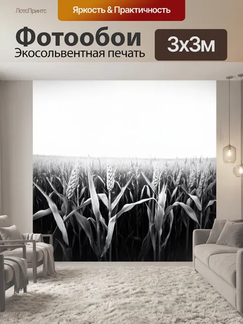 Фотообои черно-белый, передающие динамику ветра на поле с колоссями, которые волнуются