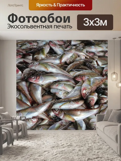 Фотообои Рыба