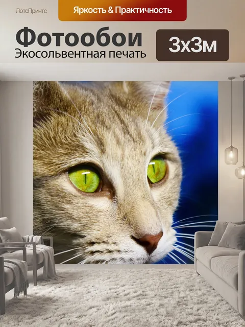 Фотообои Кот