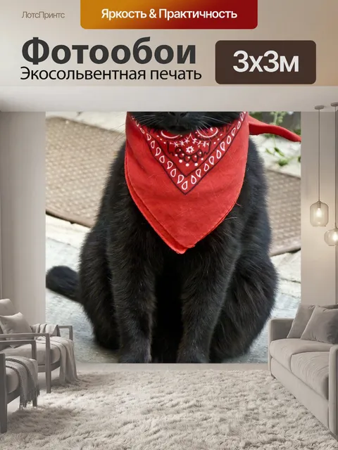 Фотообои Черный