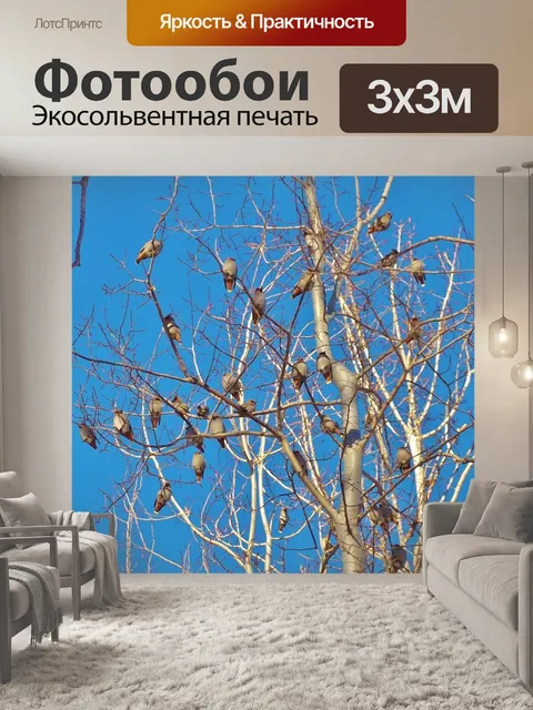 Фотообои Дерево