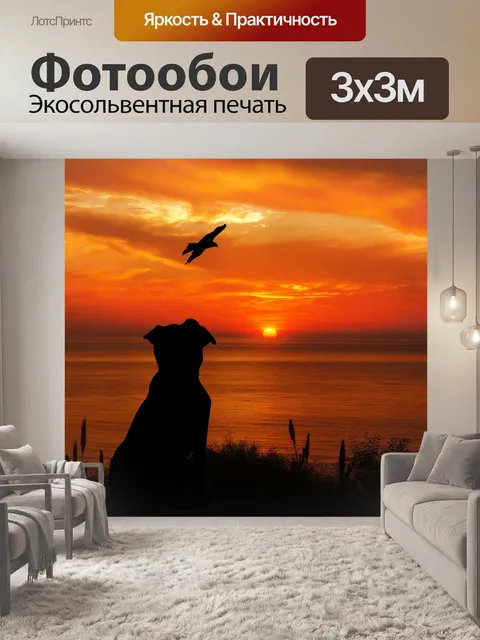 Фотообои Собака, Птица Закат Силуэт