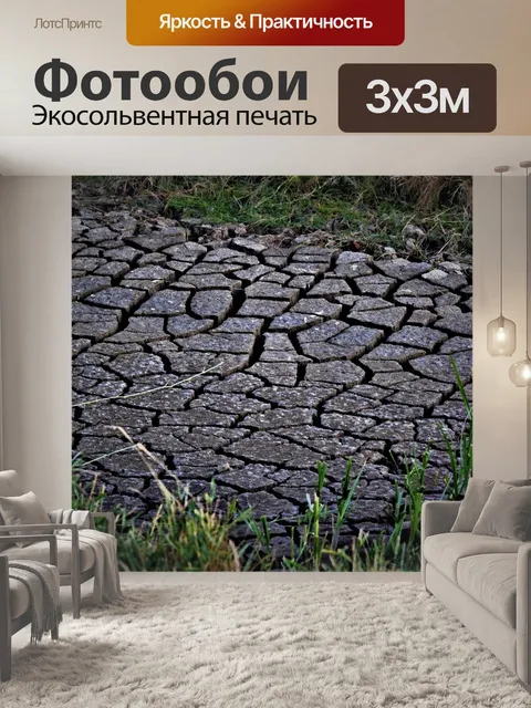 Фотообои Сухой